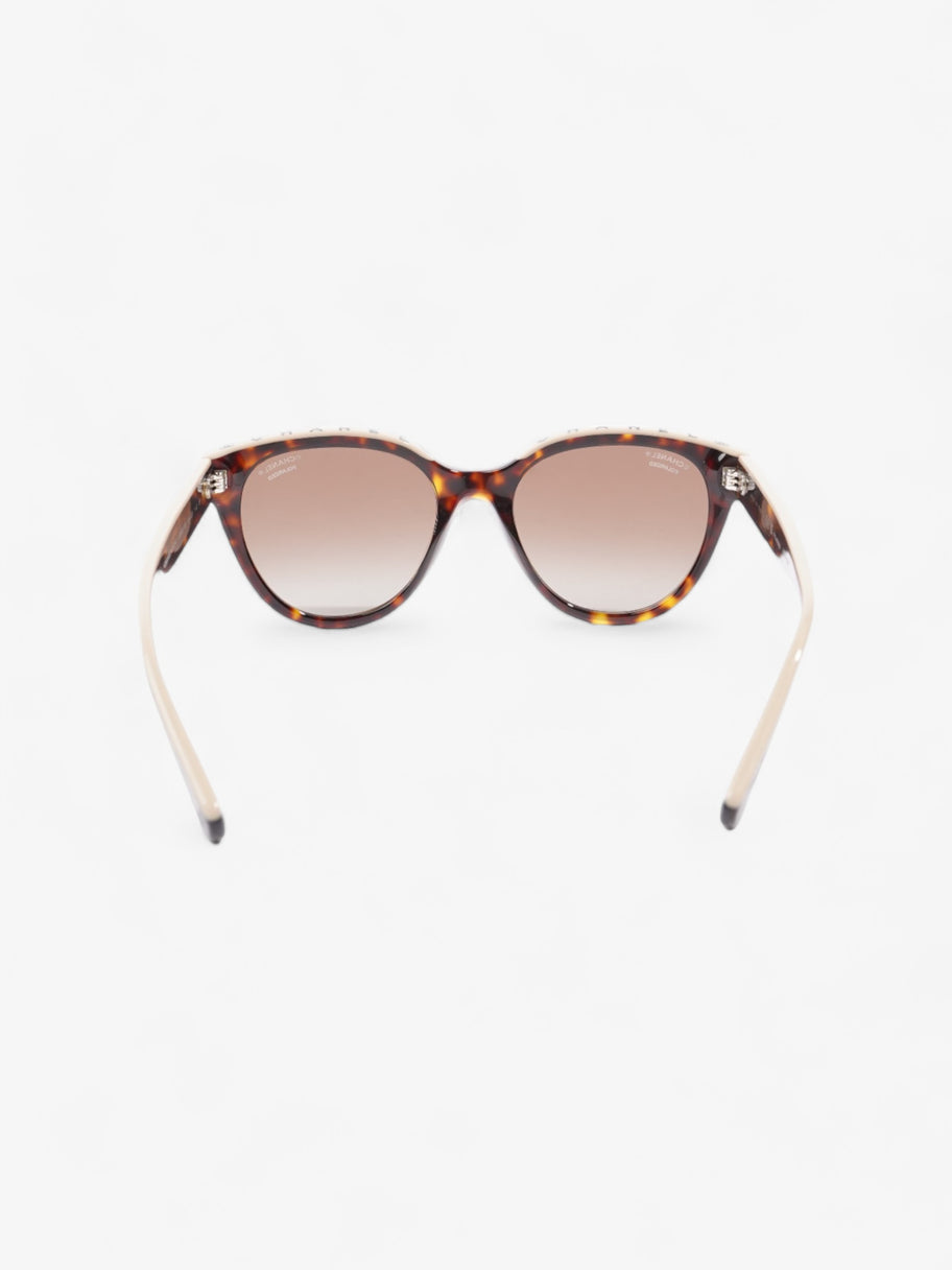 Wayfarer Frame Sunglasses Tortoise  / Beige Acetate 140mm Image 3