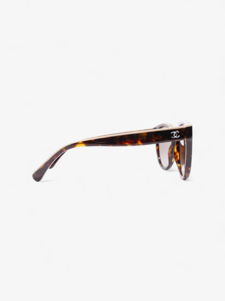 Wayfarer Frame Sunglasses Tortoise  / Beige Acetate 140mm Image 4