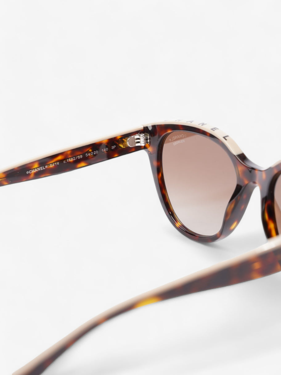 Wayfarer Frame Sunglasses Tortoise  / Beige Acetate 140mm Image 5