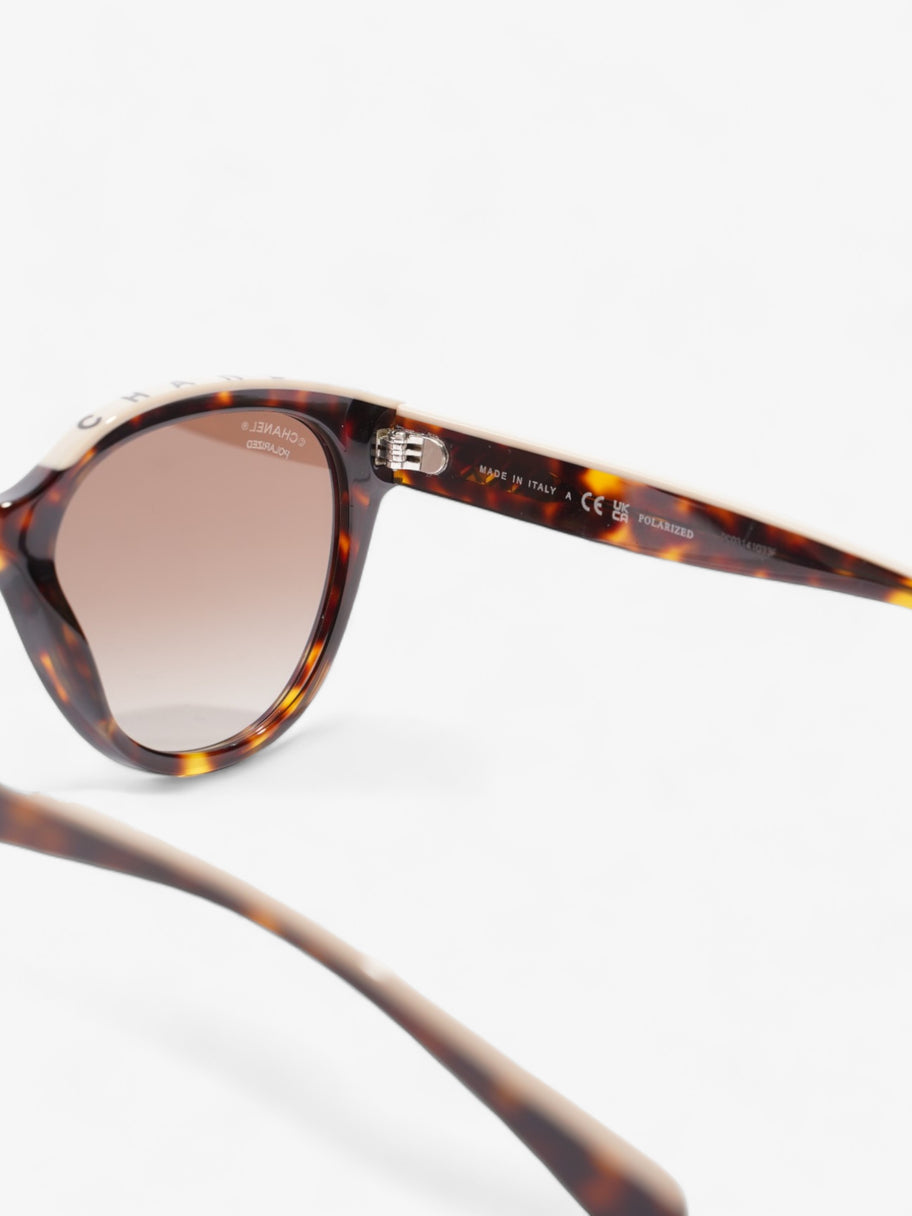 Wayfarer Frame Sunglasses Tortoise  / Beige Acetate 140mm Image 6