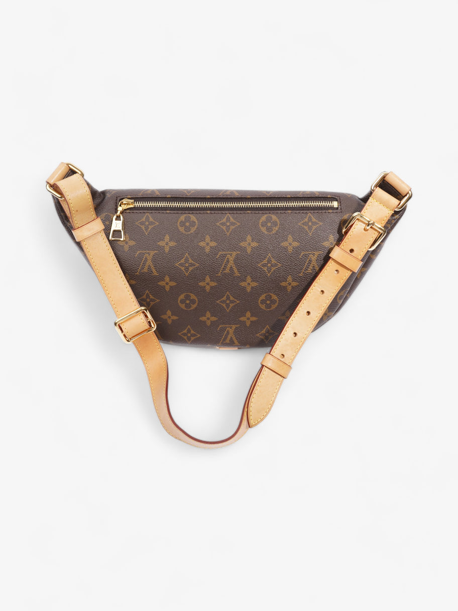 Louis Vuitton Bumbag Monogram Coated Canvas Image 4