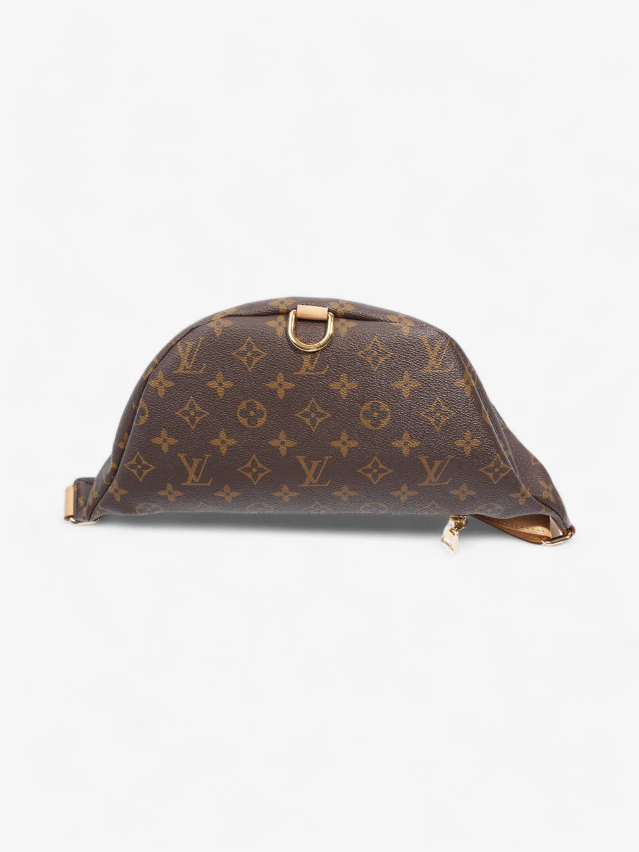 Louis Vuitton Bumbag Monogram Coated Canvas Image 6